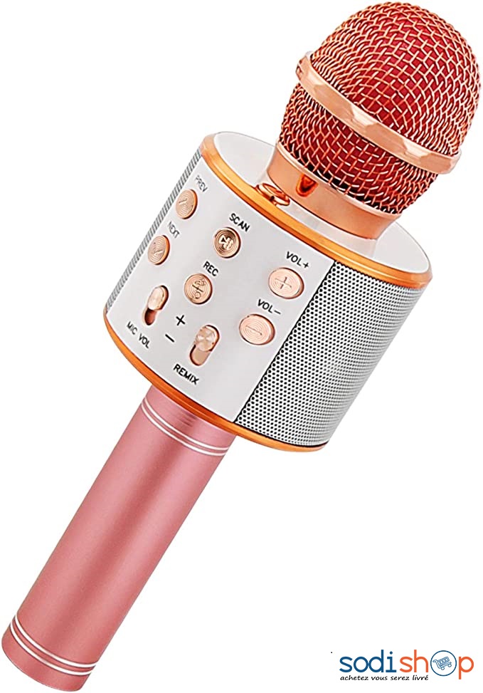 Microphone sans fil karaoké haut-parleur Bluetooth portable lecteur KTV à  domicile avec lumières de danse LED dorées